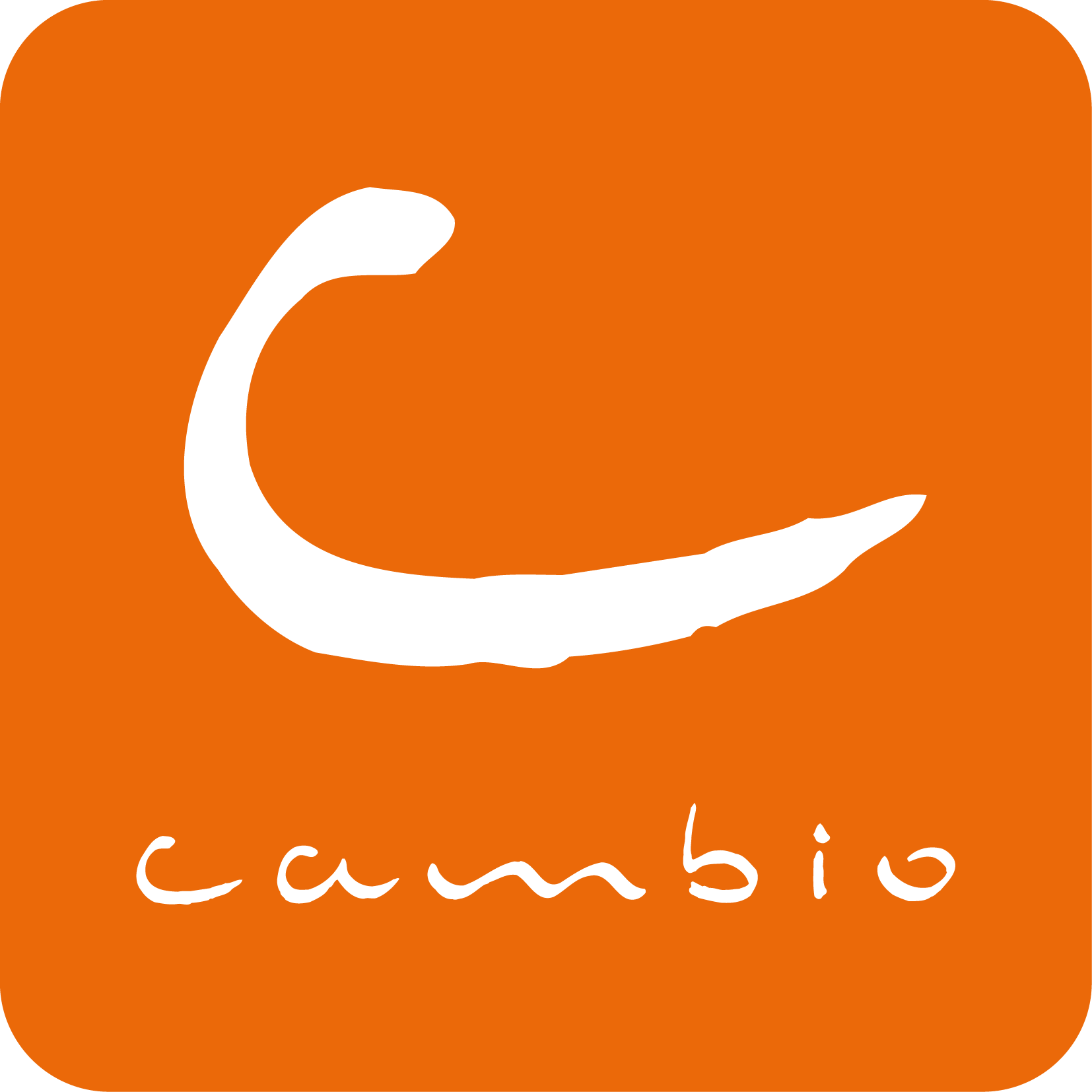 cambio logo CMYK